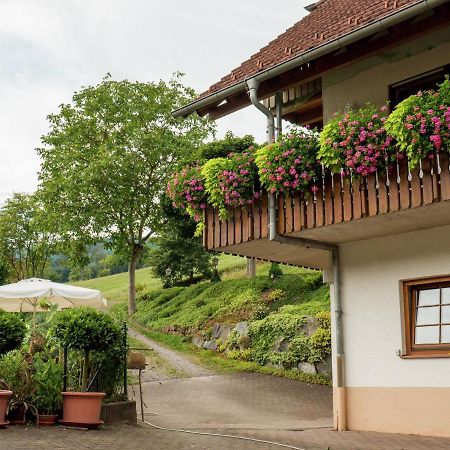 Charming Apartment In Regelsbach Near City Centre Schuttertal Δωμάτιο φωτογραφία